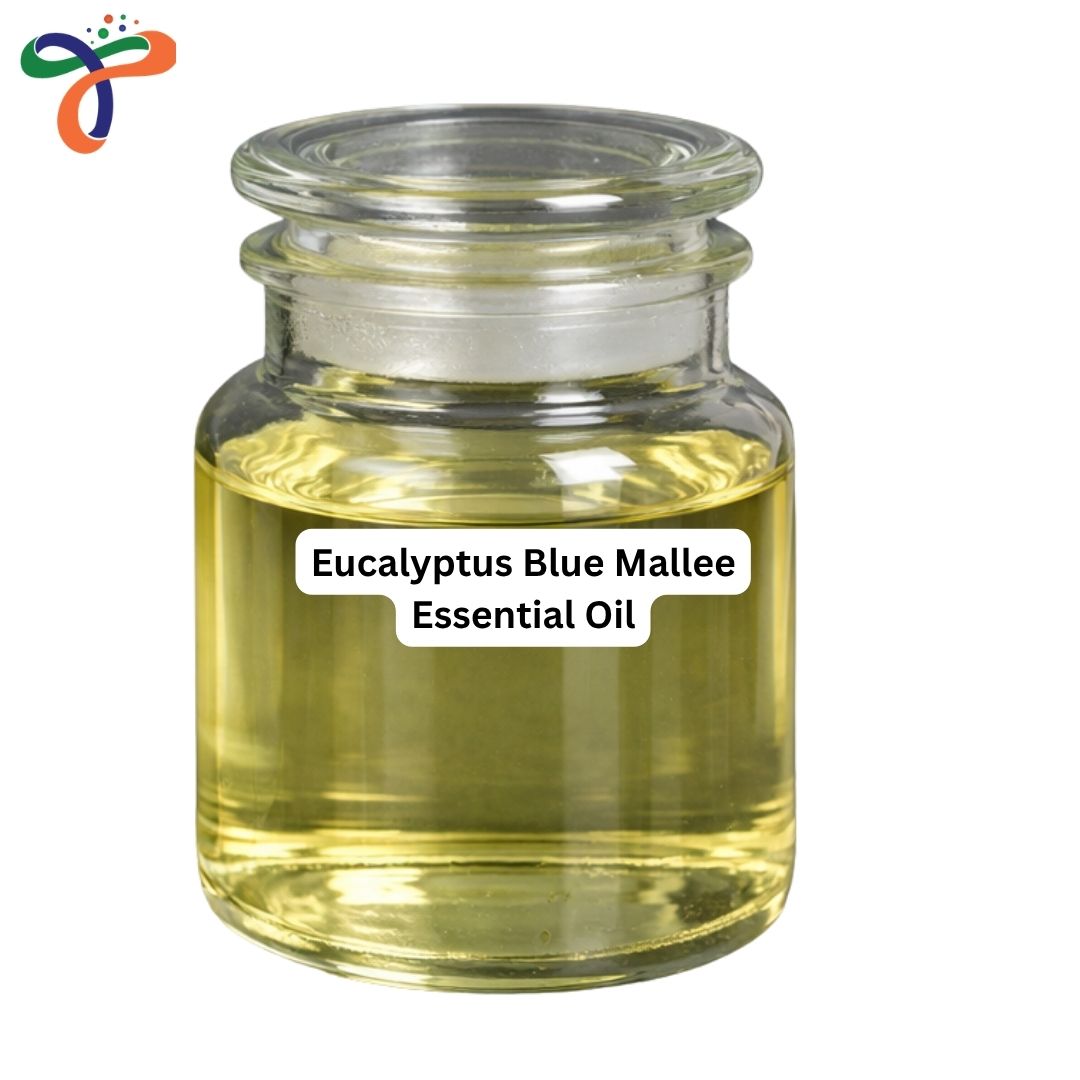 Eucalyptus Blue Mallee Essential Oil